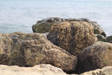 Large stone in the sea near the coast.	