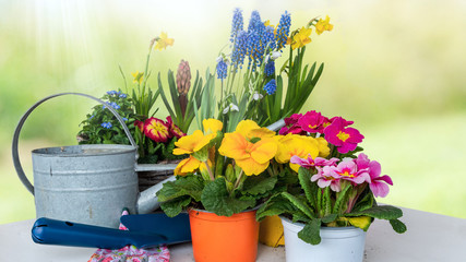 Frühling-Pflanz- und Gartenzeit