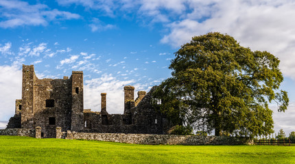 Ruins of old abbey and 3 birds landing on tower with large green tree on side and grass in foreground – front view