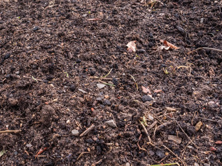 Healthy soil for gardening background
