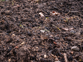 Healthy soil for gardening background