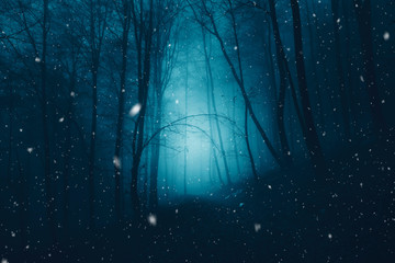 Mystical dark blue foggy forest with snowflakes. 