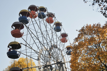ferris wheel in the park