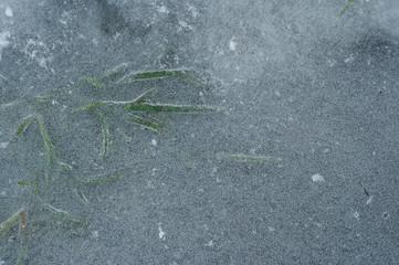 The texture of ice and a green leaf of grass in it after night frost in winter