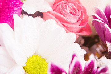 Closeup view of bouquet with roses and camomiles background