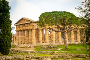 Fototapeta na wymiar Old ruins of Neptune Temple in paestum, Italy