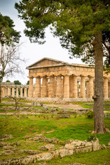 Fototapeta na wymiar Old ruins of Neptune Temple in paestum, Italy