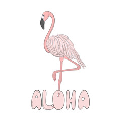 Flamingo vector hand drawn line art illustration. Pink bird with typography. Aloha Miami exotic art. Beautiful summer paradise background