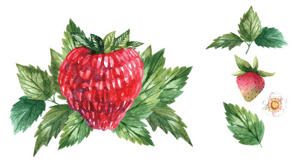strawberry with green leaves