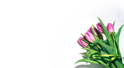 Beautiful bouquet of tulips. Spring flowers for Mother's Day, International Women's Day, birthday. Top view with space for your greetings