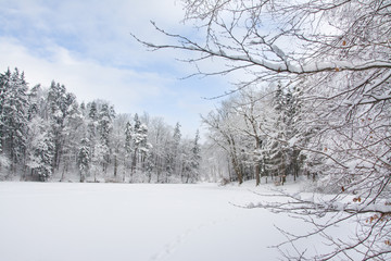 piękny zimowy krajobraz, jezioro