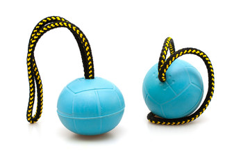 two blue balls for play with dog