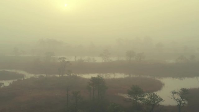 Aerial looking down on a misty bog like from a horror movie. Shot that creates an eerie feeling
