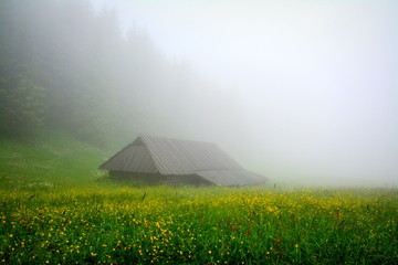 górska chata, mgła, Tatry
