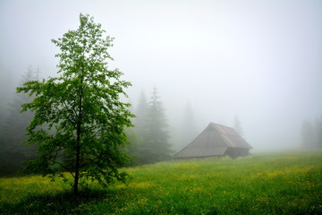 górska chata, mgła