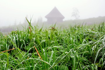 rosa na trawie, górska chata © VinyLove Foto