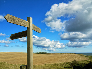 Wooden sign post, Flamborough Head, East Yorkshire