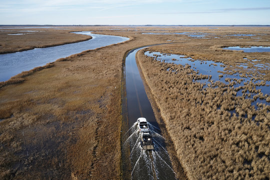 USA, Maryland, Cambridge, High tide flooding from rising sea levels at Blackwater National Wildlife Refuge