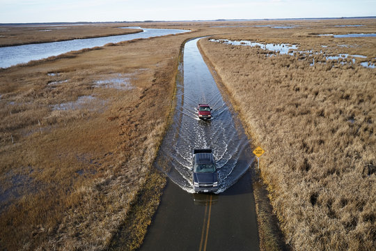 USA, Maryland, Cambridge, High tide flooding from rising sea levels at Blackwater National Wildlife Refuge
