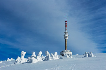 Television Transmitter Praded under Snow Cover in Jesenik, Czech Republic, Wintertime View
