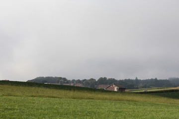 Fototapeta premium Rural Landscape