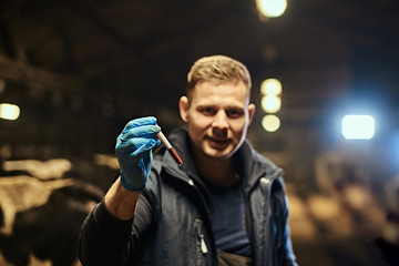 Veterinarian holding a test-tube with red liquid on a cow farm indoors