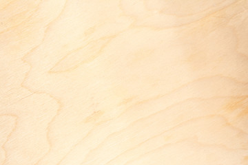 Real natural light birch plywood. High-detailed wood texture.