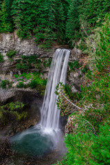 Obraz premium waterfall in forest