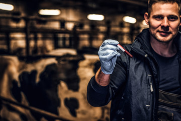 Fototapeta na wymiar A veterinarian holding a test-tube with red liquid on a cow farm indoors