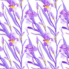Floral pattern with iris flowers. Seamless pattern with colorful iris flowers.