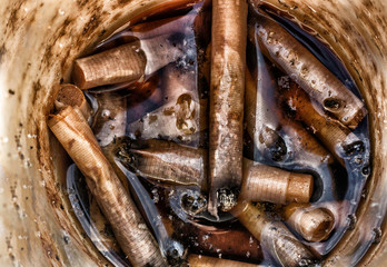 Cigarette ends in an ashtray full of water