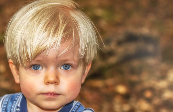 Portrait Of A Blonde Male Toddler With Blue Eyes