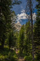 Beautiful Hike in Wyoming