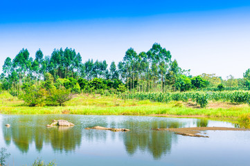 Fototapeta premium Lake and mountain landscape 