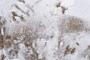 abstract snow texture background 