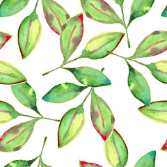 Tropical Hawaii leaves a palm tree in watercolor style. Basis for design