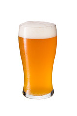 Refreshing Amber Craft Beer on White