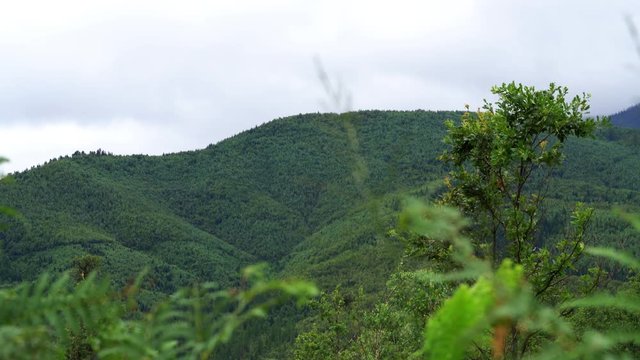 Wind in mountain landscape - (4K)