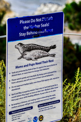Harbor Seals Sign