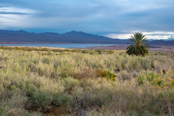 Sunset Over the Receding Lake Mead