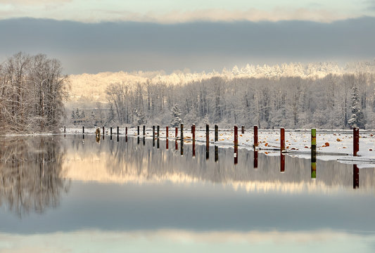 Fraser River, Vancouver. Fresh snow on a logboom on the Fraser River. Vancouver, British Columbia, Canada.