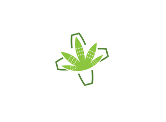 Bandage and marijuana leaf a natural bio medicine for logo design