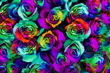 Fototapeta na wymiar bouquet of multi-colored roses (Rainbow rose) 