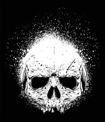 skull and spray vector