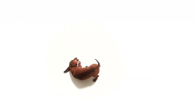 4K - Funny dog. Dog is lying on its back and scratching