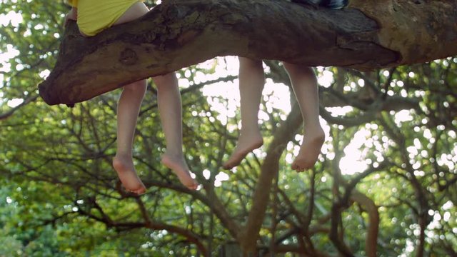 A Little Girl And Boy Sit In A Tree And Swing Their Feet