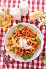 Italian style pasta with tomato sauce