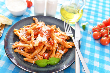 Italian style pasta with tomato sauce