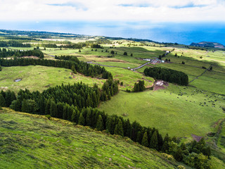Green fields of San Miguel island, Azores - Portugal.