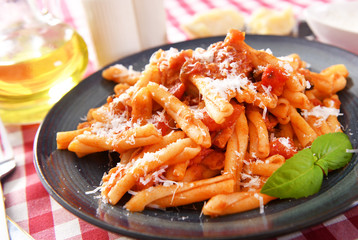 Italian style pasta with tomato sauce